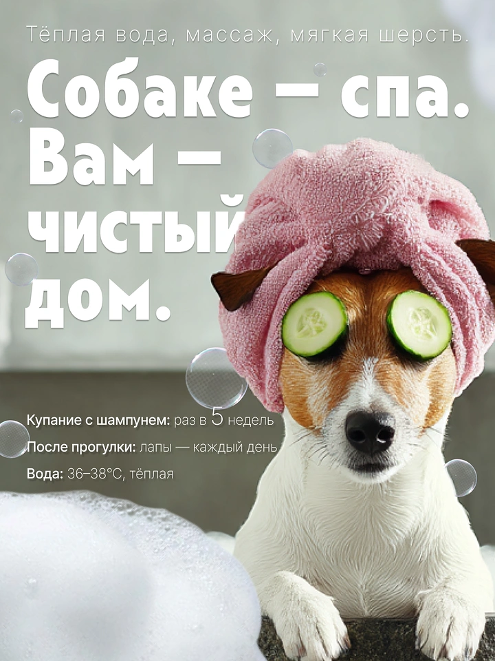 Pet Grooming creative ad: Cucumber-eye spa dog, witty clean-home copy