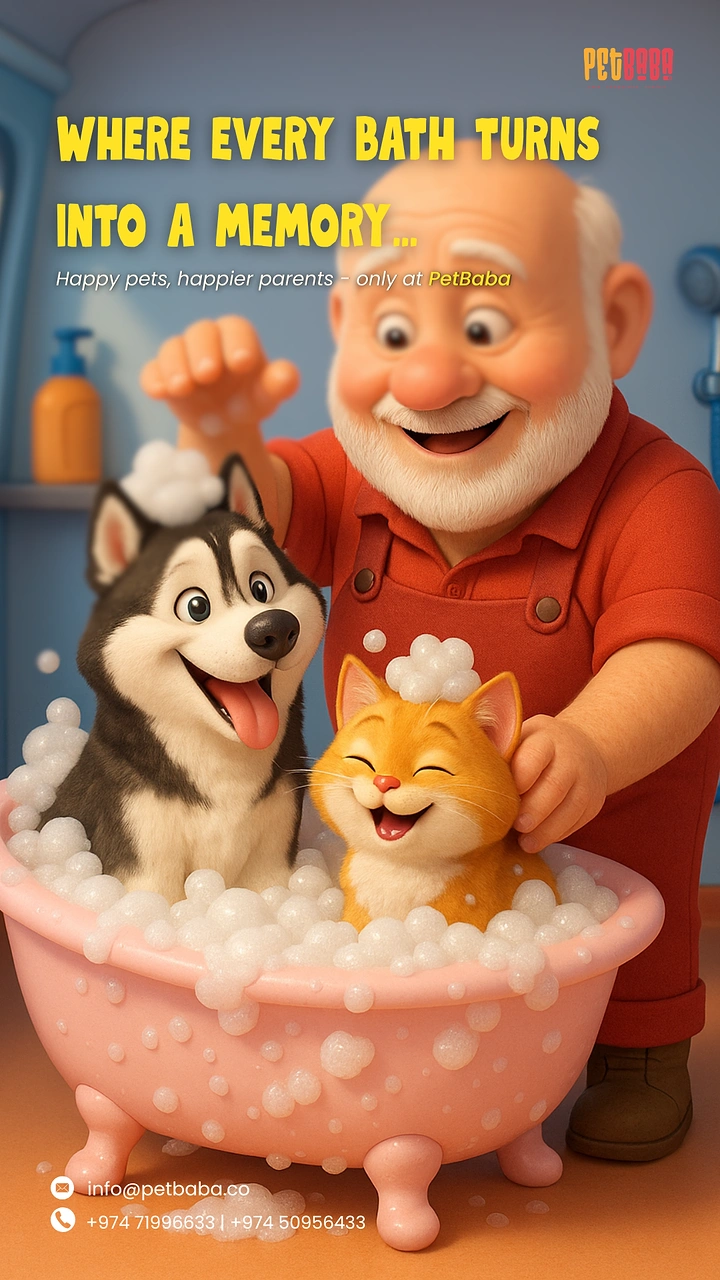 Pet Grooming creative ad: Warm 3D grandpa bathing pets, memory story