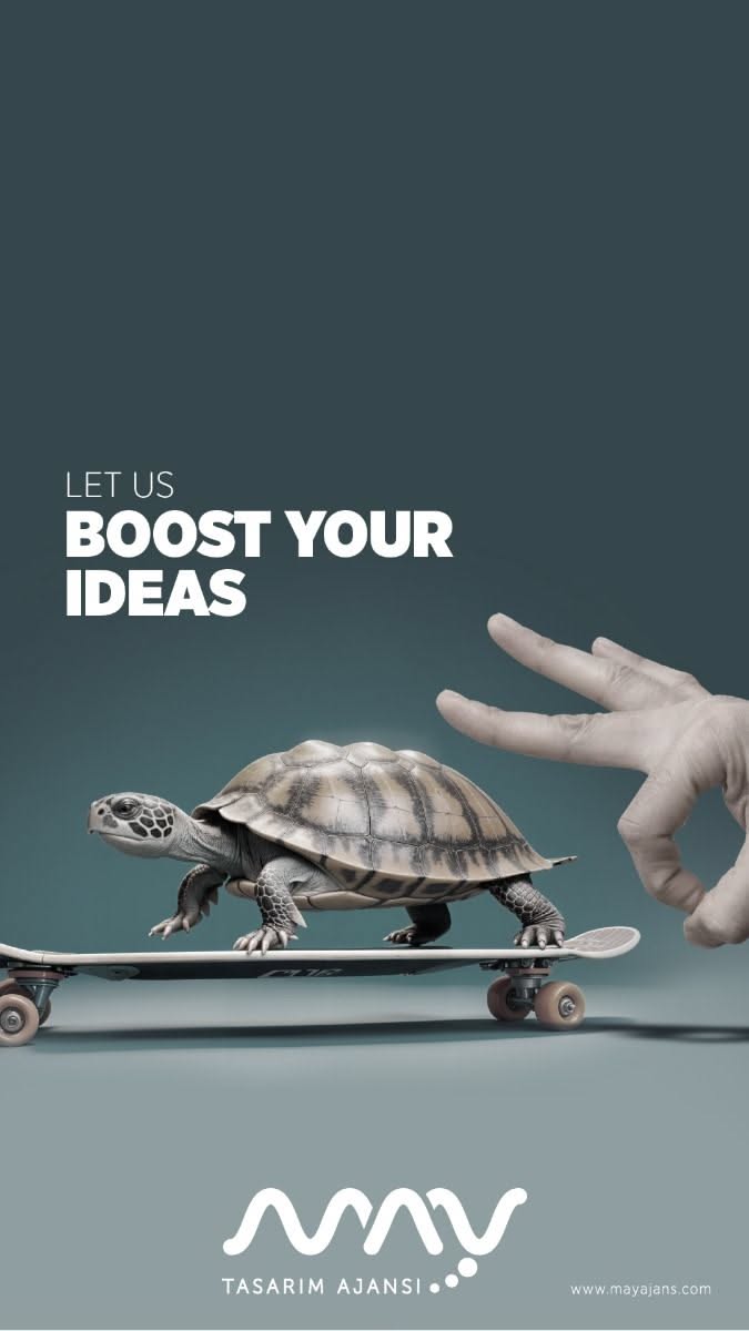 Tortoise on skateboard, boost ideas pun