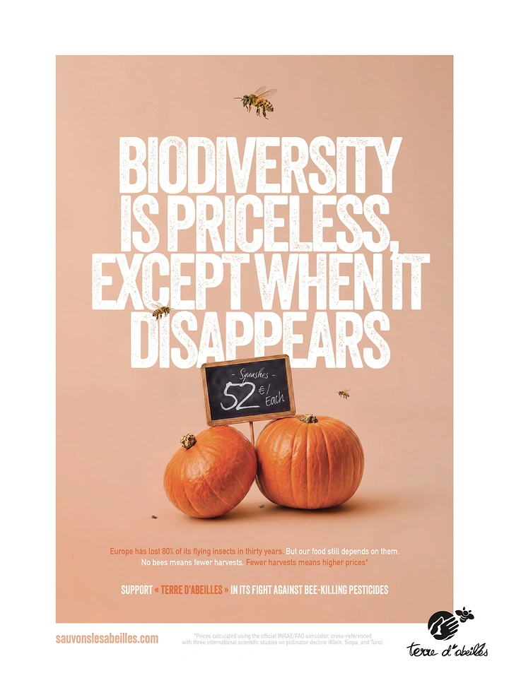 Creative ad: Two orange squashes with a chalkboard price sign and a few flying bees