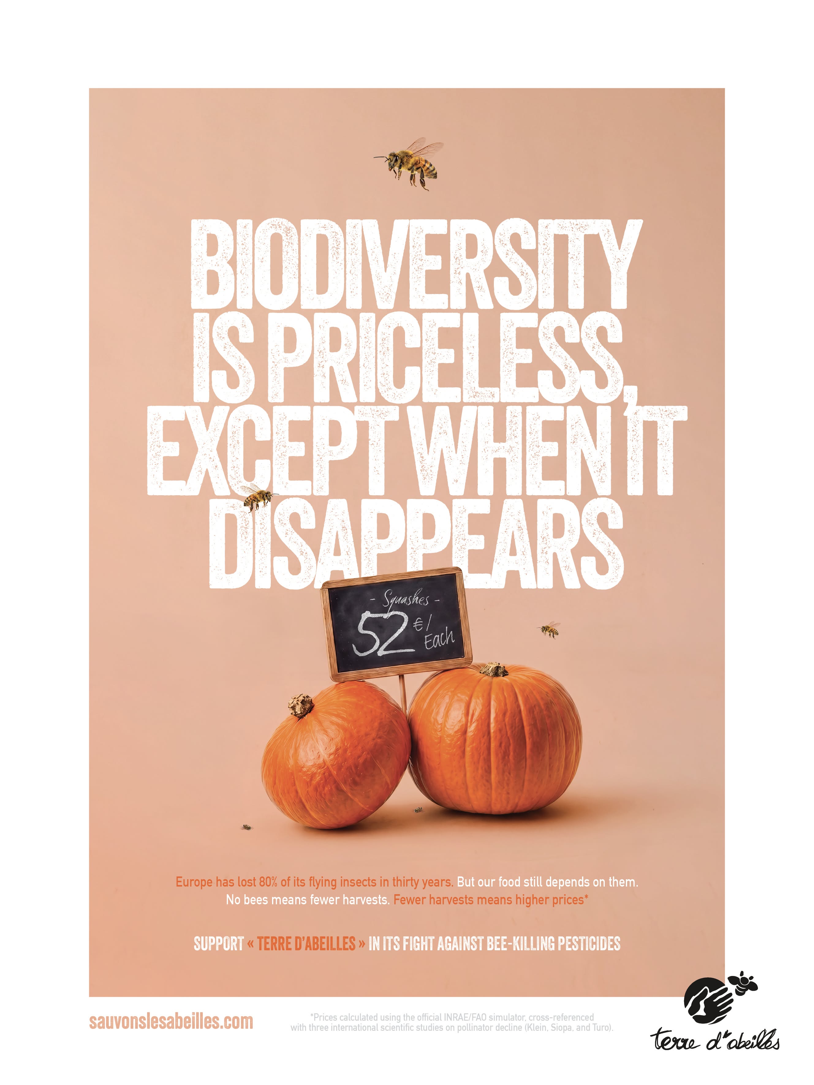 Poster: Two orange squashes with a chalkboard price sign and a few flying bees