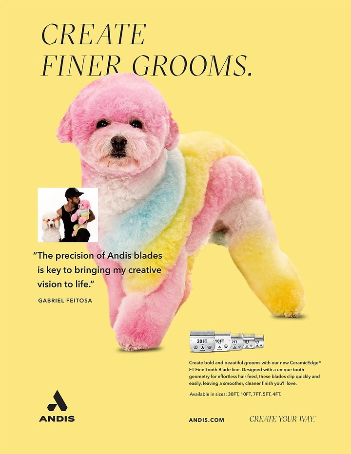 Pet Grooming creative ad: Rainbow-groomed poodle as creative canvas