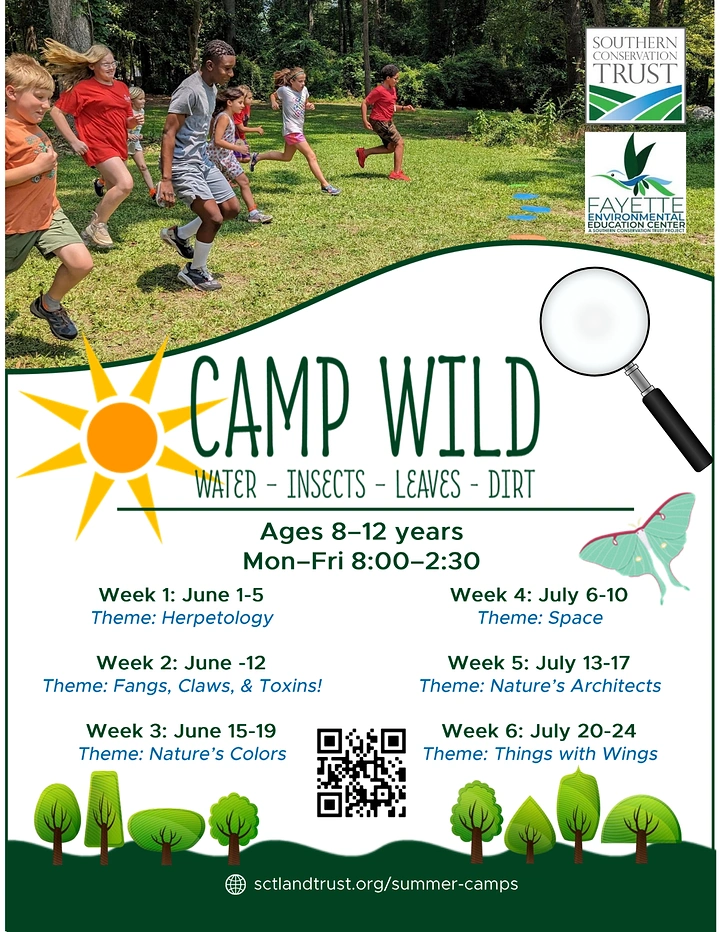 Summer Camps & Kids Activities creative ad: Magnifying glass frames nature learning
