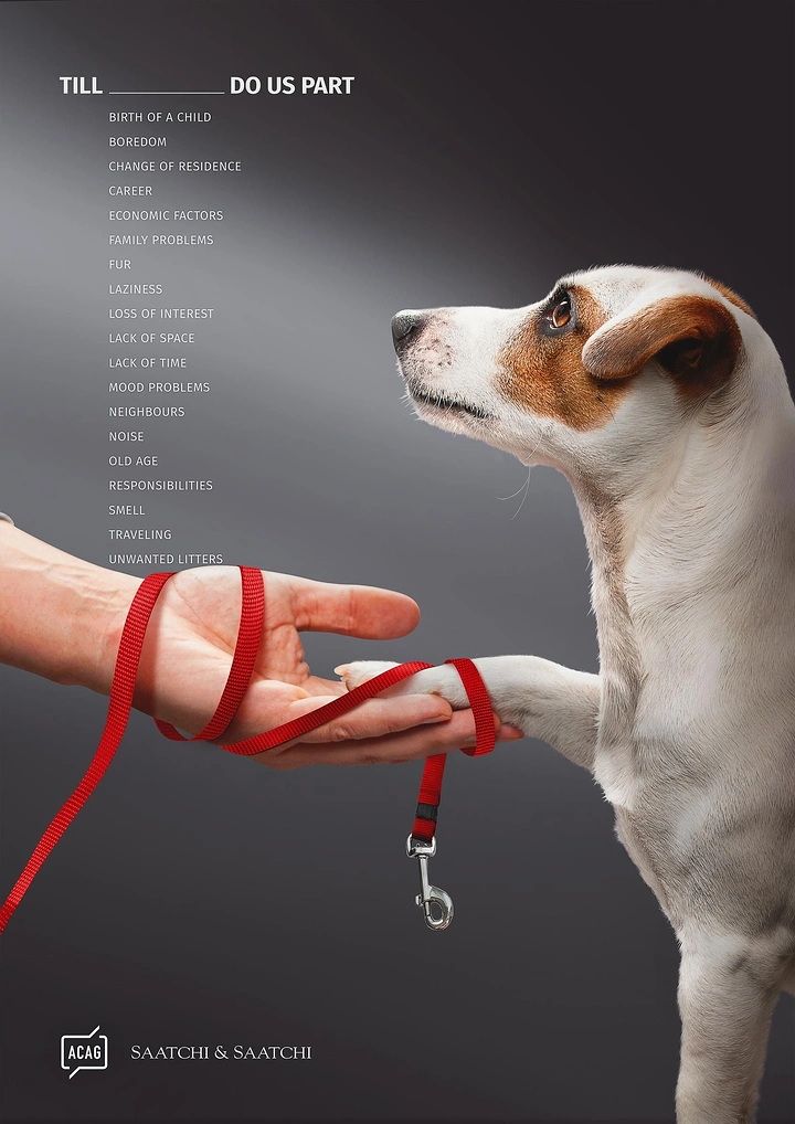Pets creative ad: Dog placing paw in human hand wrapped with red leash