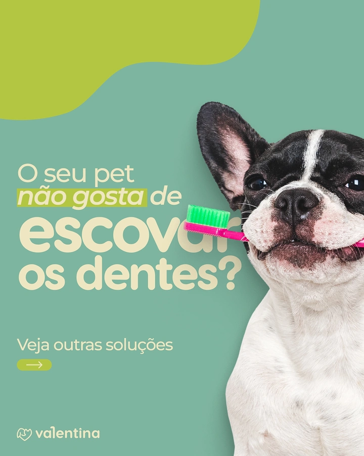 Veterinary Clinics creative ad: French bulldog holding a pink toothbrush in its mouth