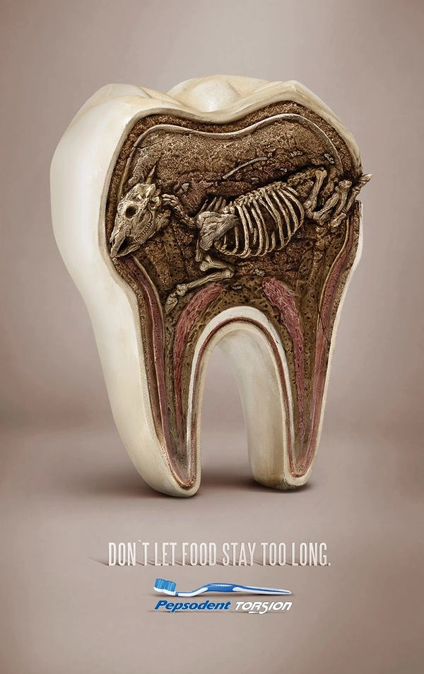 Dental creative ad: Cross-section of a molar showing a fossilised animal skeleton buried inside