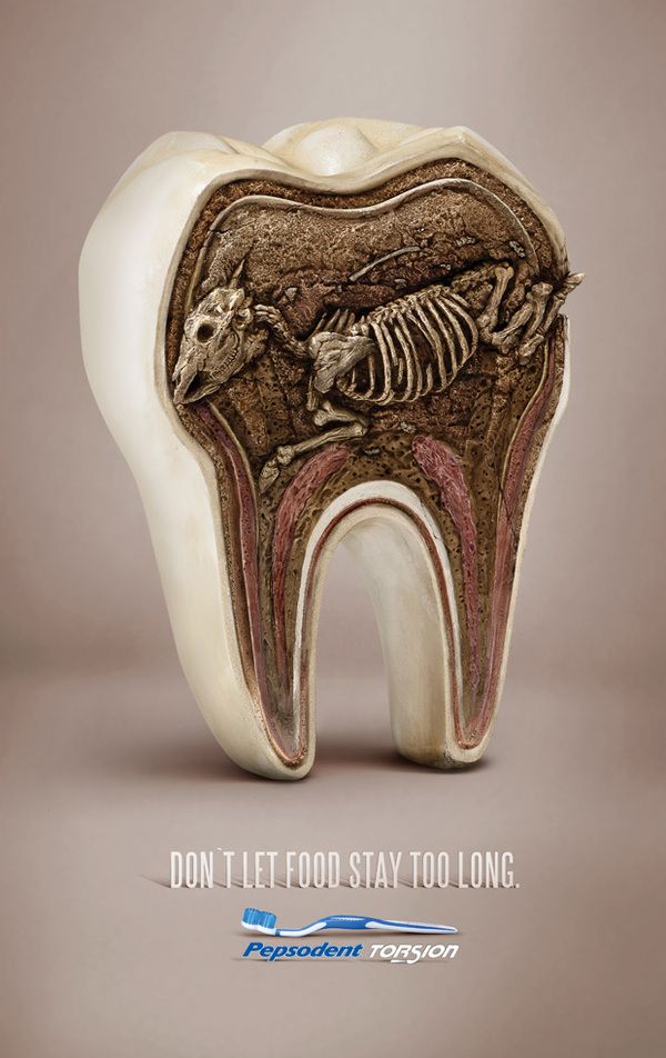 Poster: Cross-section of a molar showing a fossilised animal skeleton buried inside
