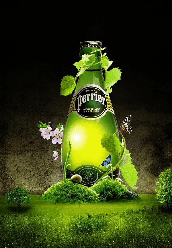 Story: Bottle grows into a living landscape