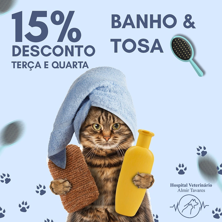 Pet Grooming creative ad: Cat in towel turban with shampoo, playful