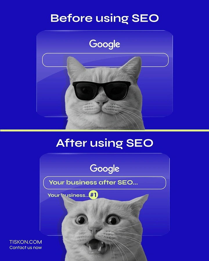 Agency creative ad: Cool-to-shocked cat before/after SEO