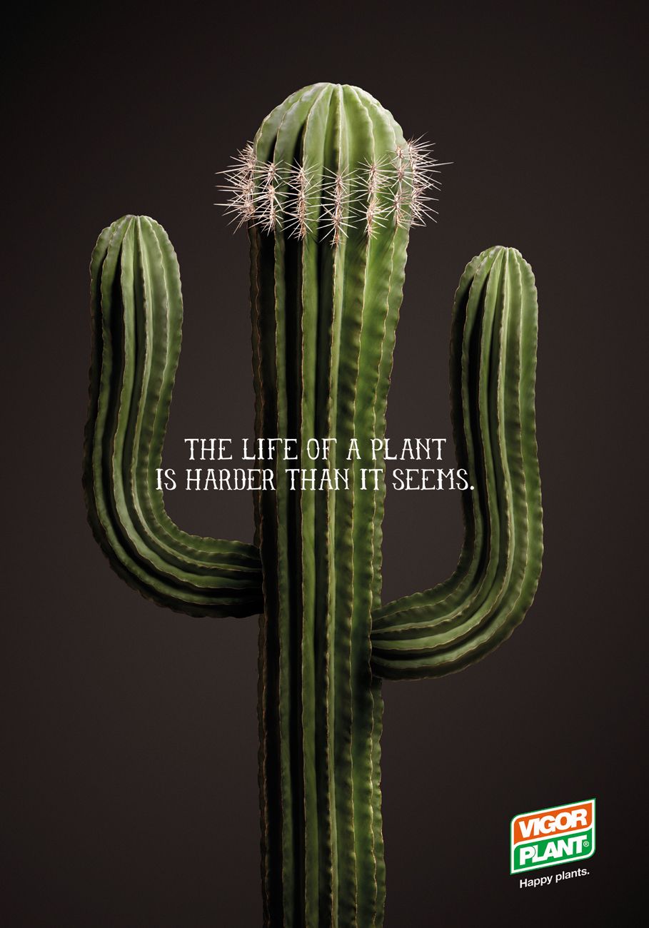 Story: Cactus as flexing arm, tough plant