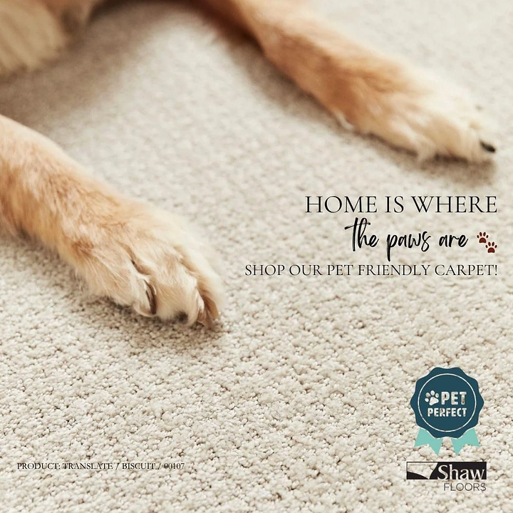 Rugs & Carpets creative ad: Memorable paws-at-home copy pun