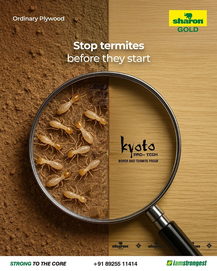 Hardware Stores creative ad: Magnifying glass showing termites on sawdust beside clean, protected plywood grain
