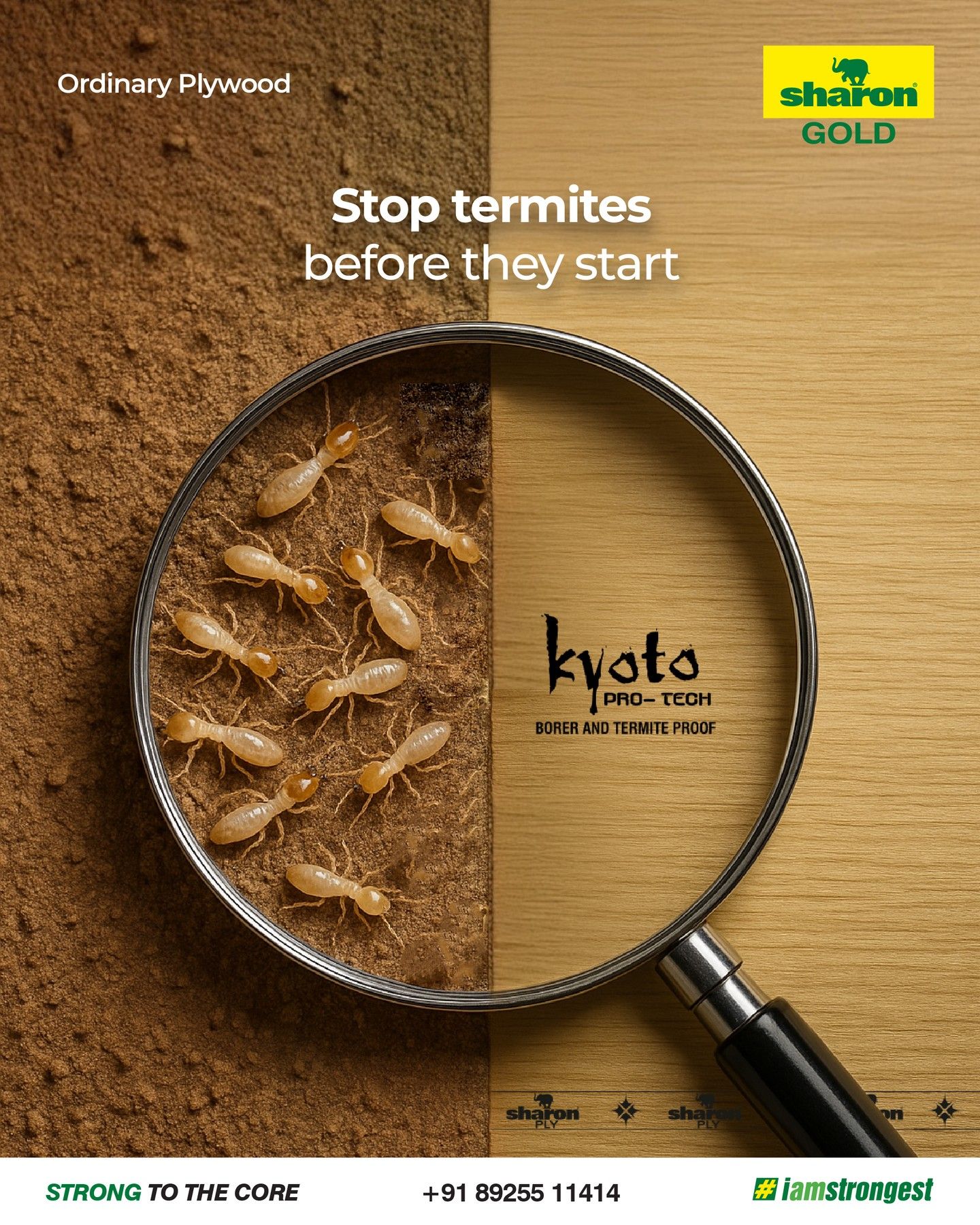 Instagram post: Magnifying glass showing termites on sawdust beside clean, protected plywood grain