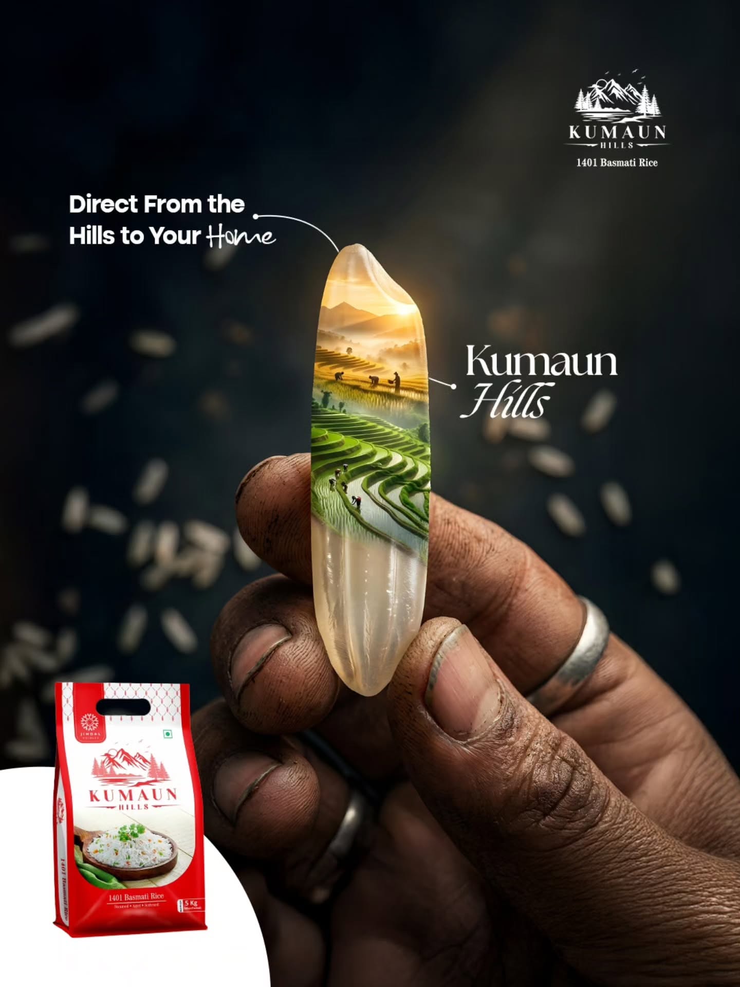 Poster: Weathered hand holding a giant rice grain containing terraced hill paddies
