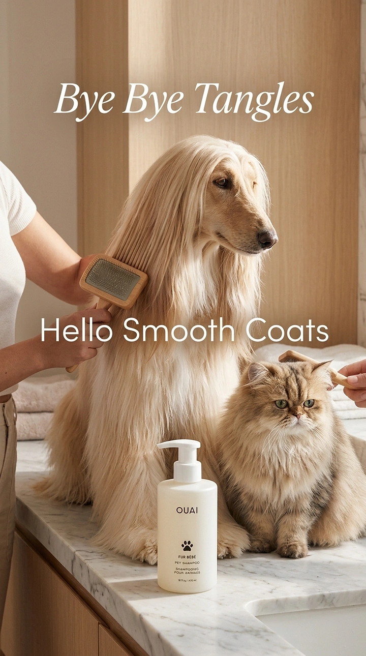 Pet Grooming creative ad: Afghan hound as hair-care model, tangles copy