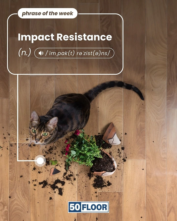 Cement, Steel & Building Materials creative ad: Cat beside a knocked-over rose pot on a wooden floor