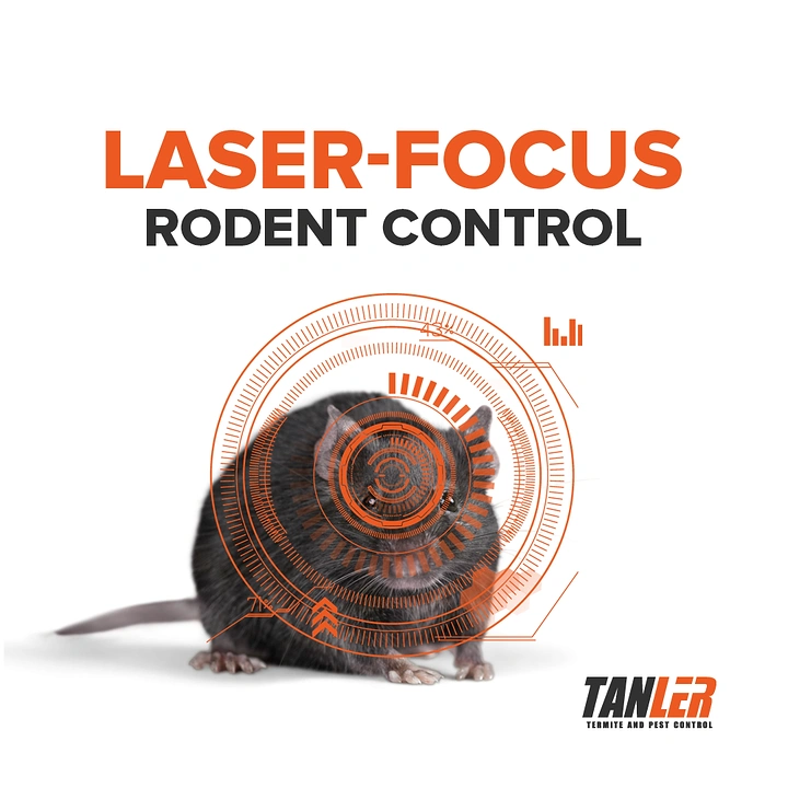 Pest Control creative ad: Target reticle on rat, laser-focus idea