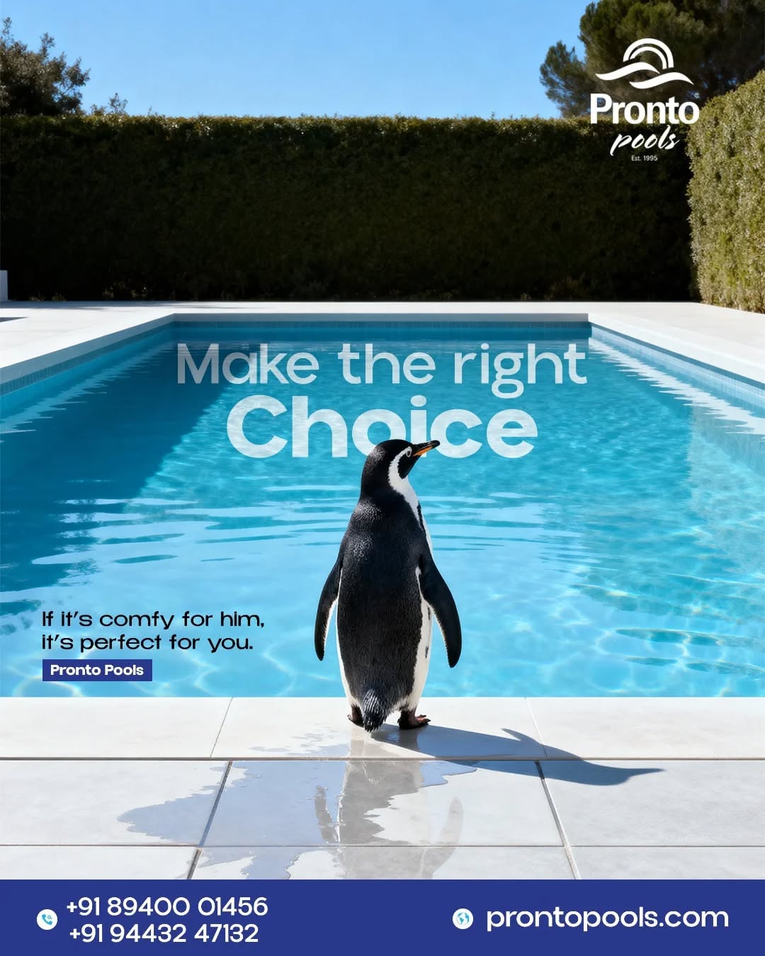 Instagram post: Penguin choice pun creates memorable visual