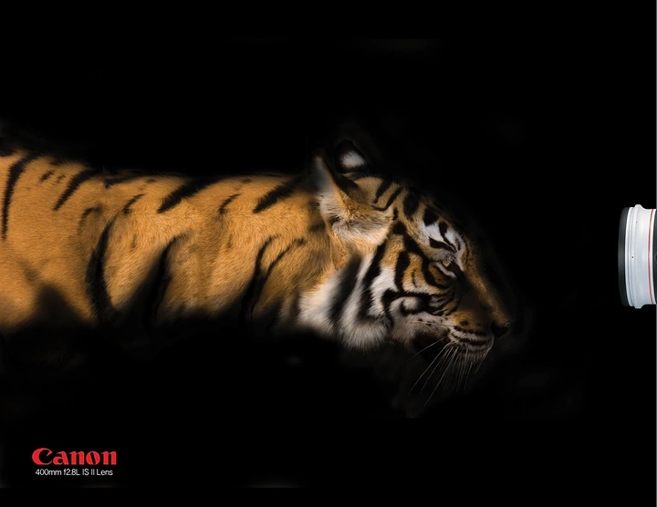 Cameras & Camera Stores creative ad: Tiger emerges dramatically from lens