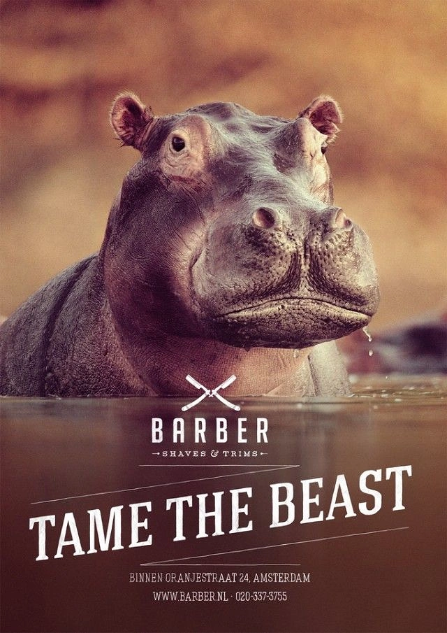 Barber Shops creative ad: Hippo emerging from water staring at the camera