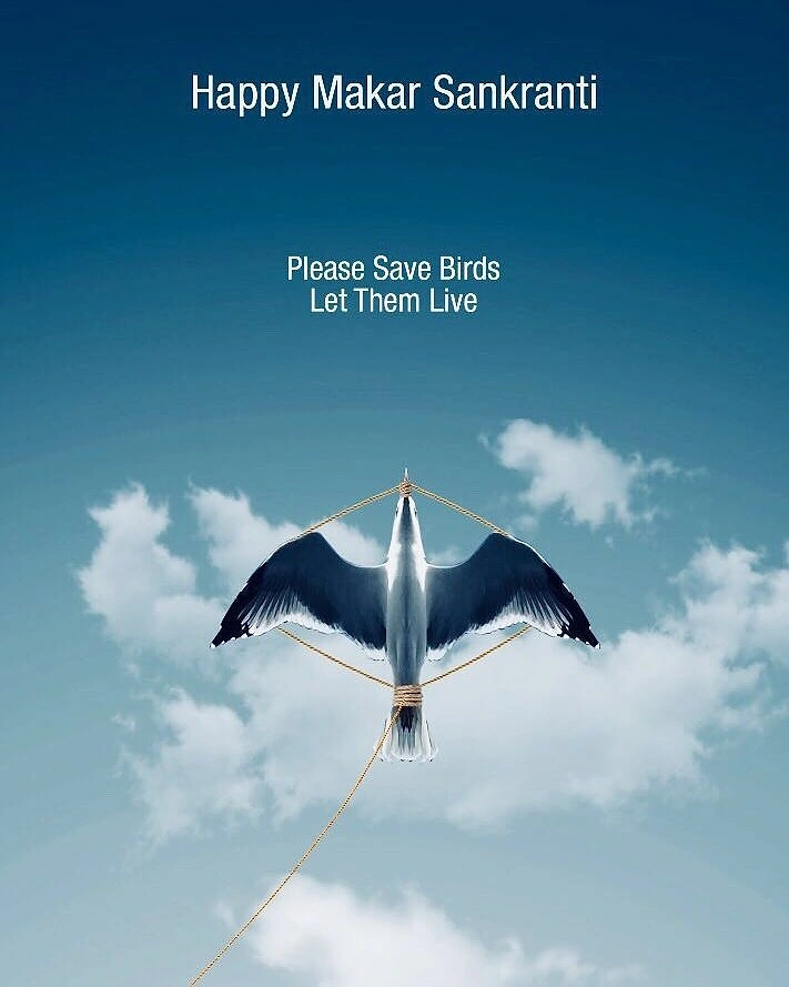 Makar Sankranti creative ad: Seagull tied with string to look like a kite