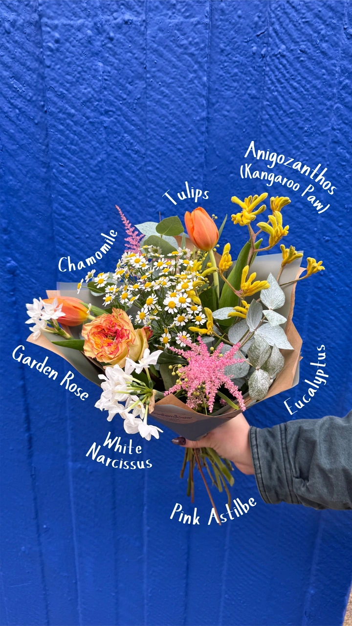 Florists creative ad: Bouquet anatomy: handwritten labels name each stem