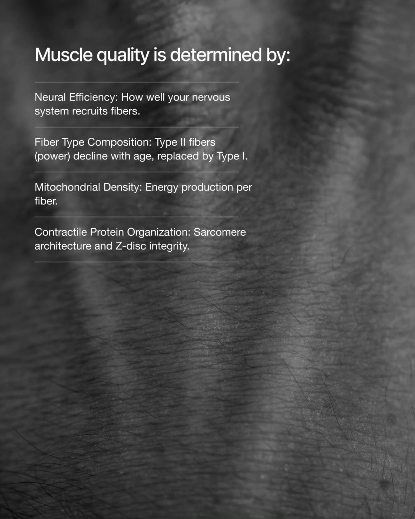 Carousel: Faded overweight man beside a lean muscular man in profile, slide 3