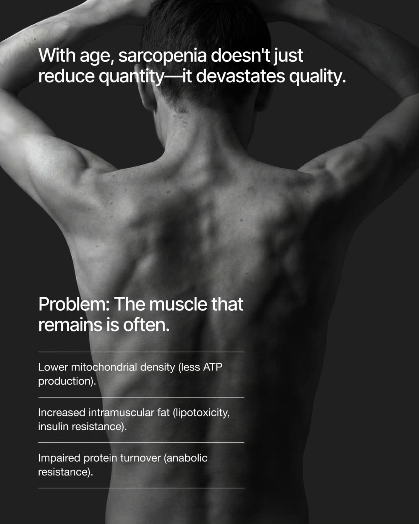 Carousel: Faded overweight man beside a lean muscular man in profile, slide 5
