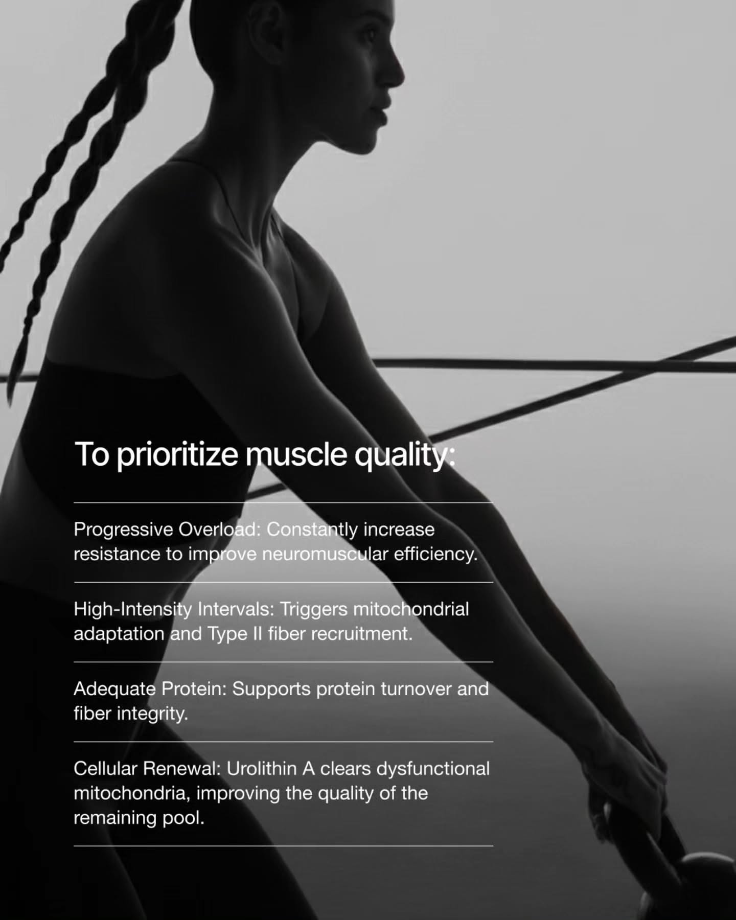 Carousel: Faded overweight man beside a lean muscular man in profile, slide 6