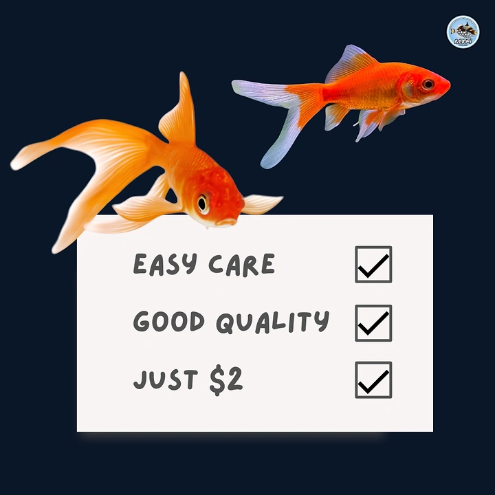 Aquarium Shops creative ad: Goldfish over checklist, witty simple offer