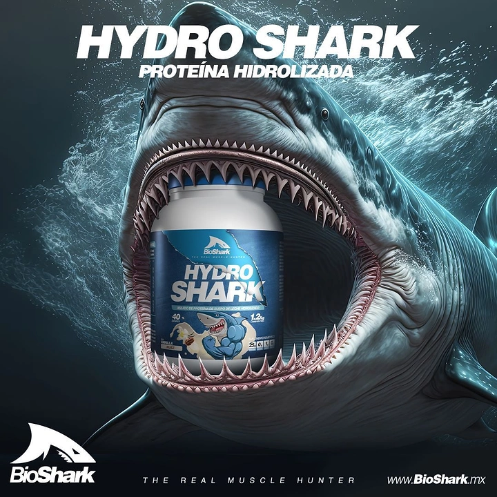 Supplements & Protein creative ad: Protein tub held inside the open jaws of a great white shark underwater