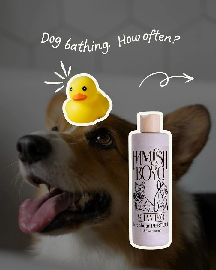 Pet Grooming creative ad: Rubber duck sticker, bath-frequency question hook