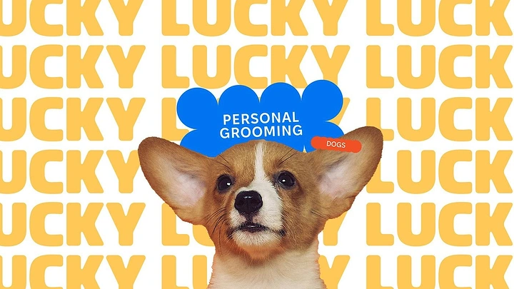 Pet Grooming creative ad: Paw-shaped hat on corgi, repeating type