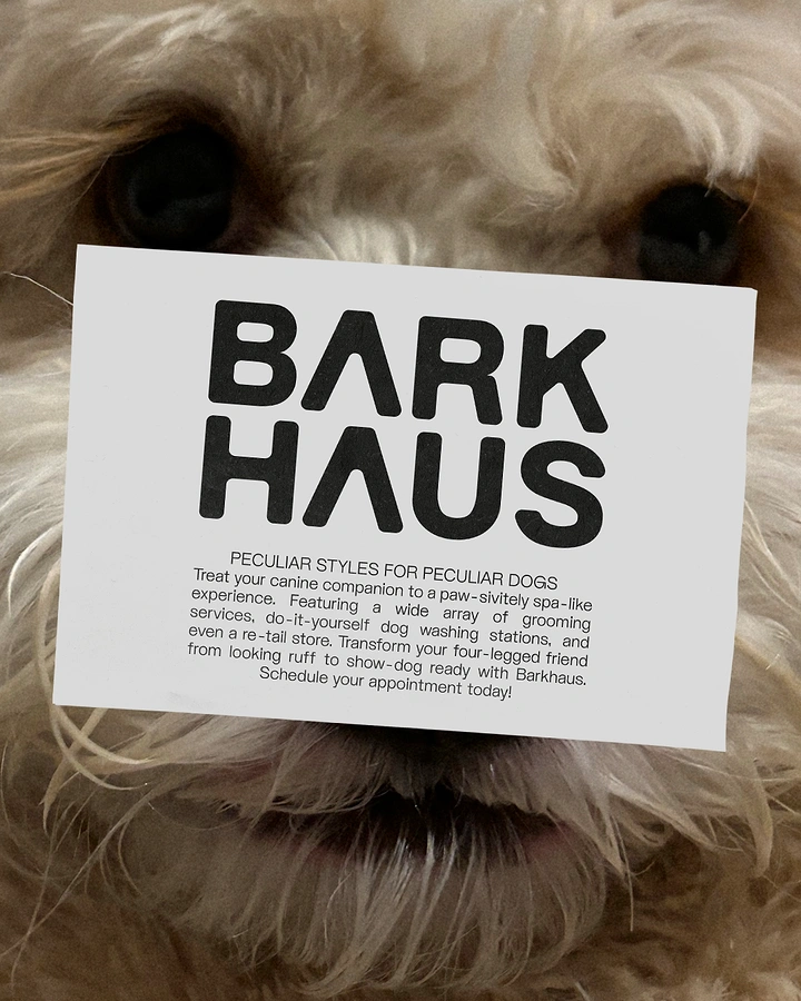 Pet Grooming creative ad: Brand card covering dog's face, bold