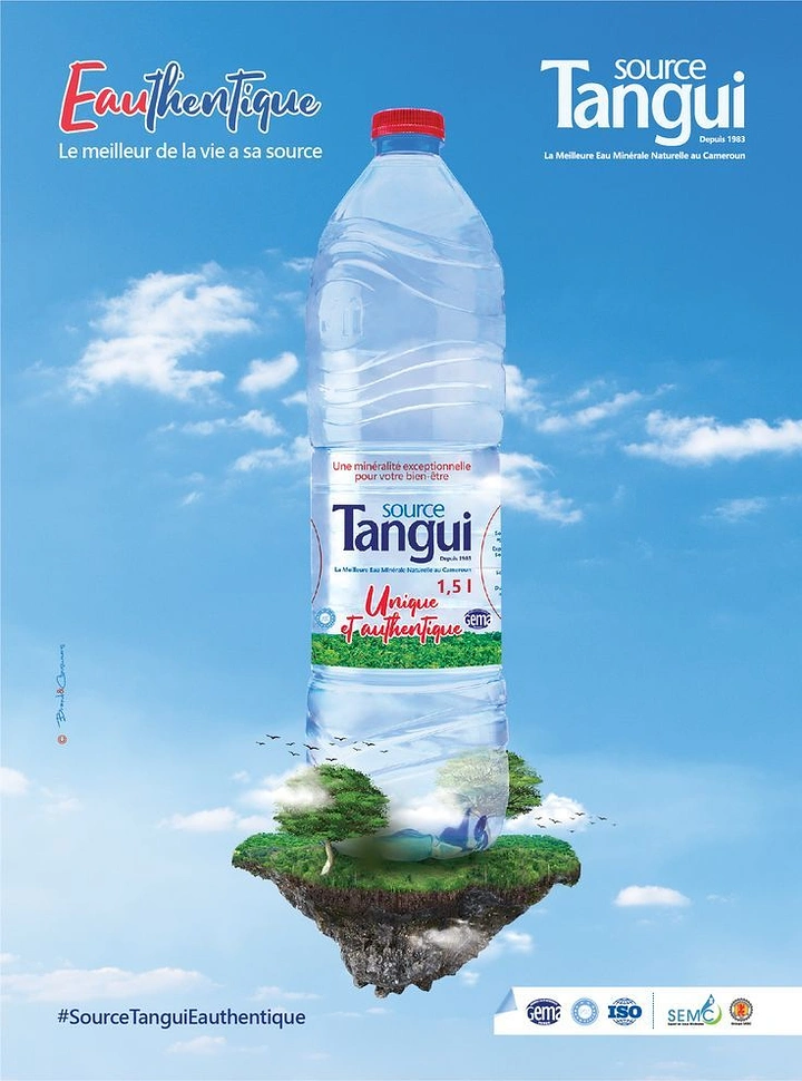Packaged Drinking Water creative ad: Bottle floating on a miniature island