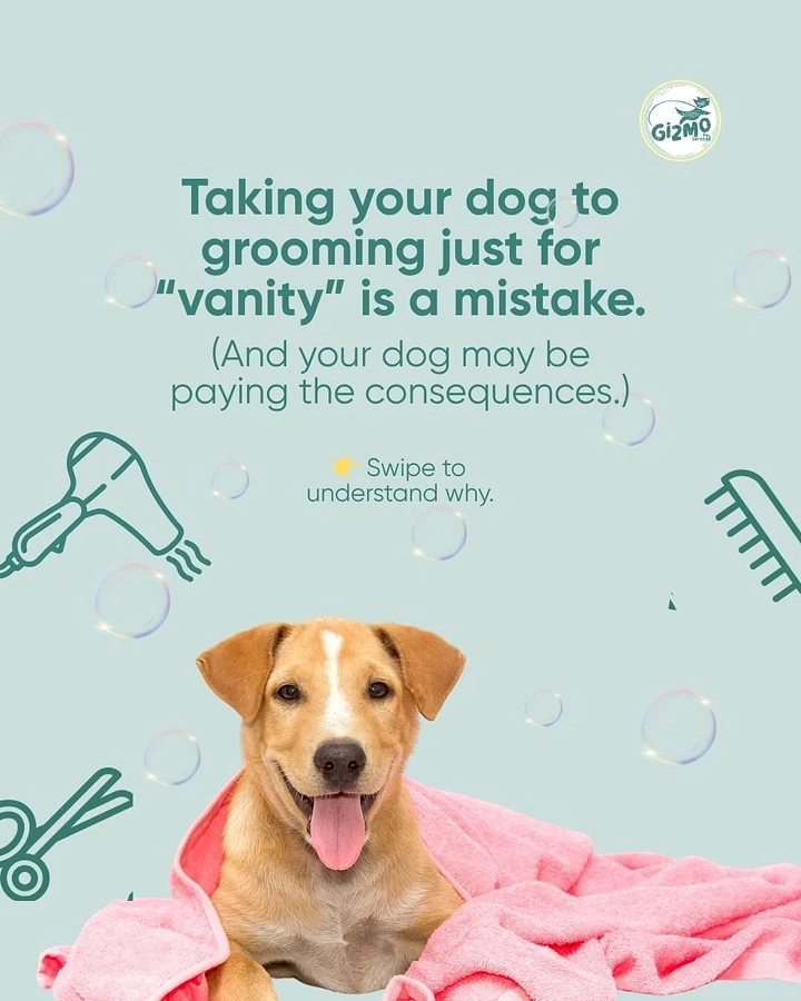 Pet Grooming creative ad: Provocative carousel hook, towel-wrapped dog