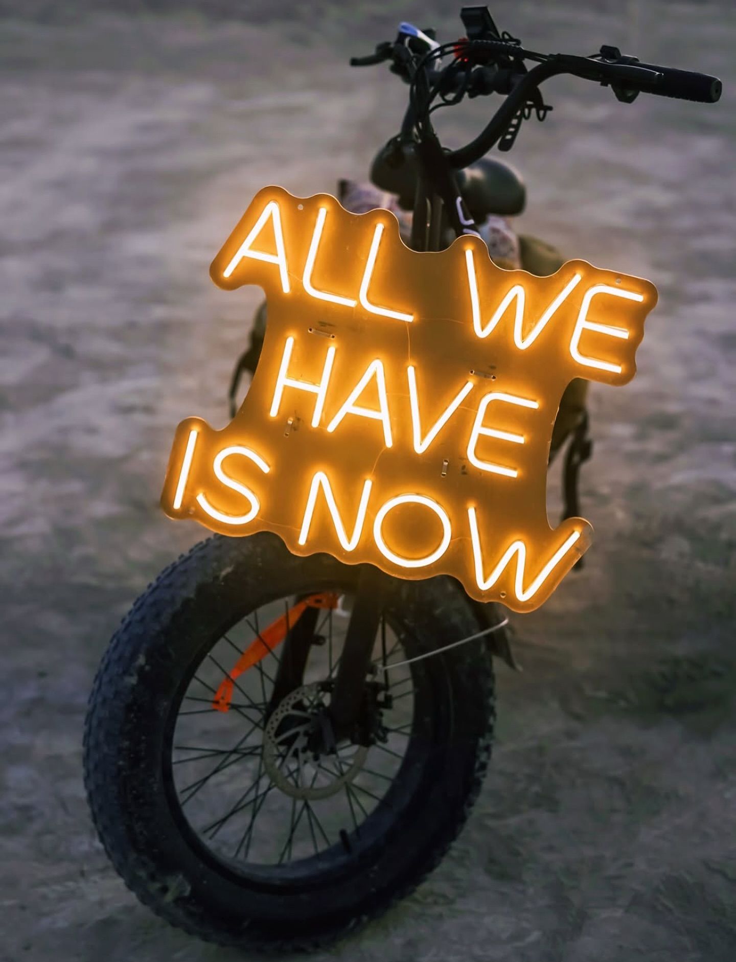 Instagram post: Unexpected bicycle-mounted neon sign composition