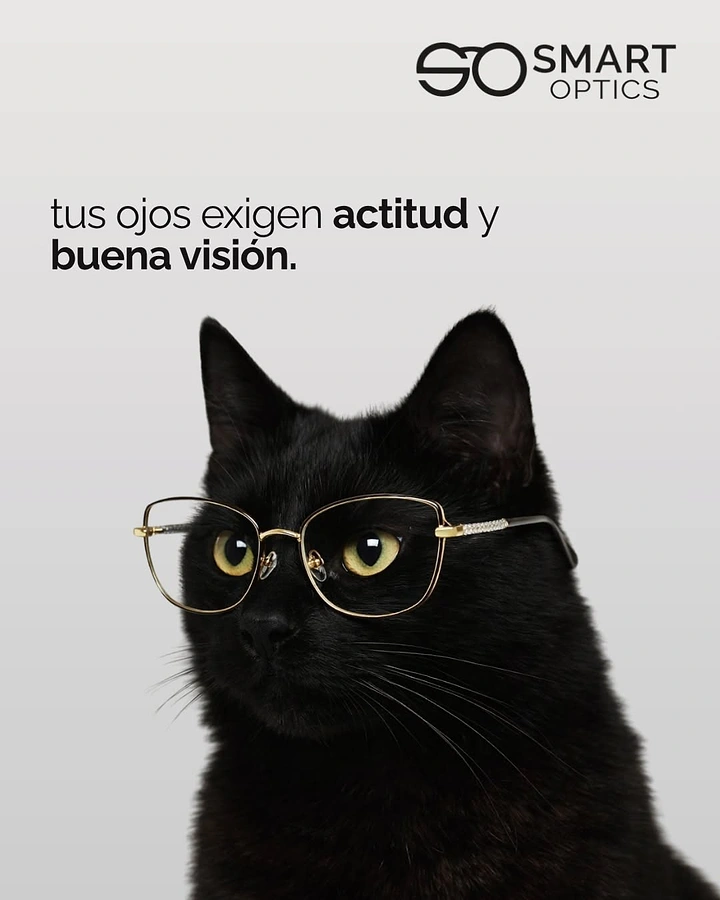 Opticians & Eye Care creative ad: Black cat in glasses: eyes with attitude