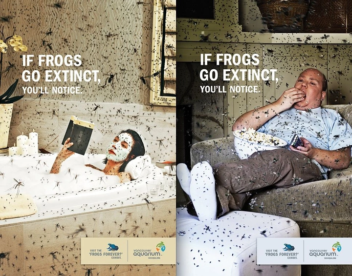 Aquarium Shops creative ad: Frog extinction means mosquito plague