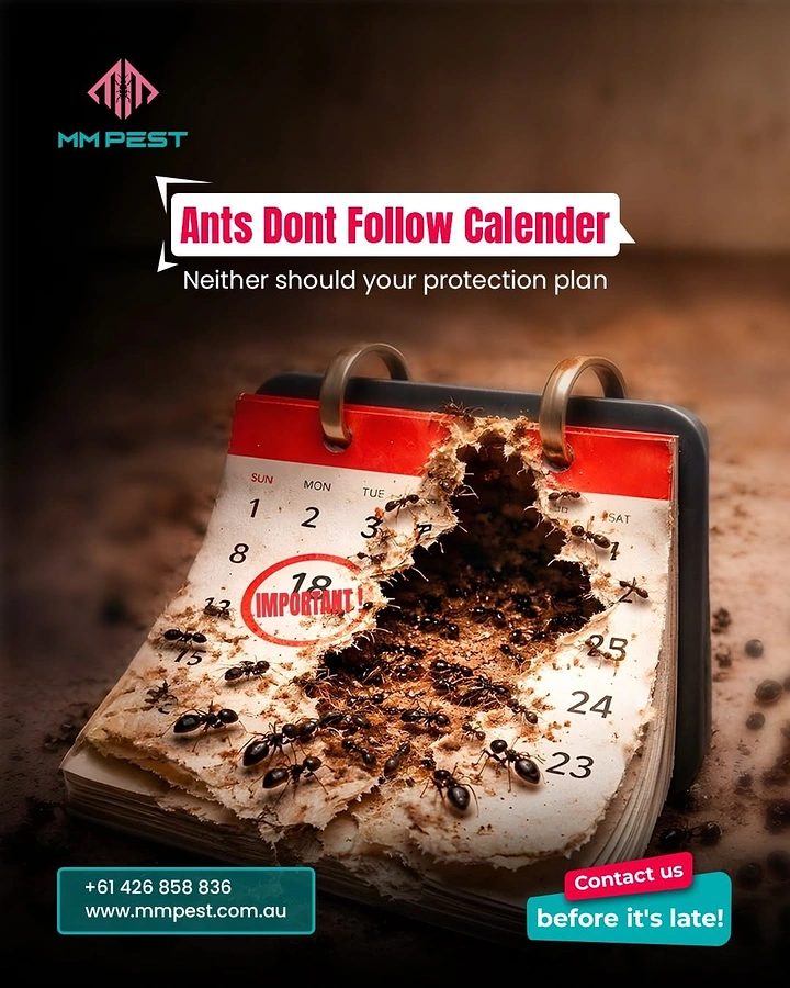 Pest Control creative ad: Ants eating calendar, witty seasonal copy