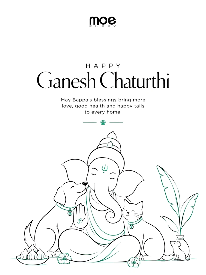 Ganesh Chaturthi creative ad: Line-art Ganesha embraced by a dog and cat