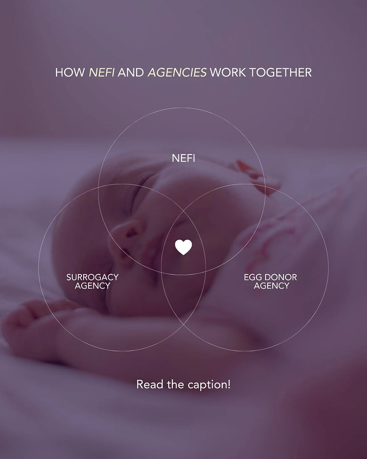 IVF & Fertility Clinics creative ad: Venn diagram over newborn, surrogacy roles