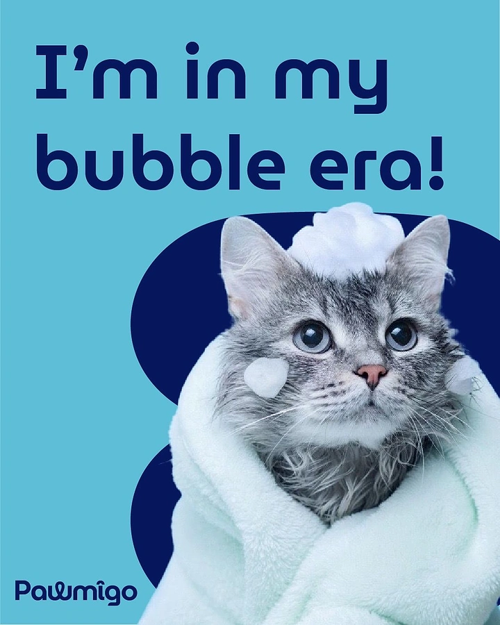 Pet Grooming creative ad: Towel-wrapped foamy cat, 'bubble era' pun