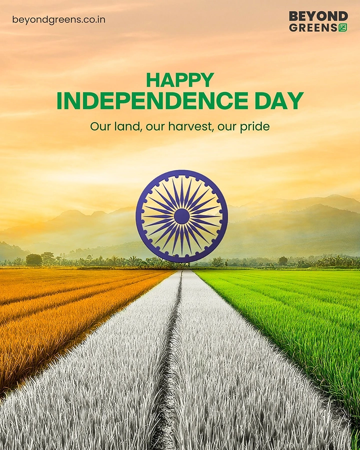 Independence Day creative ad: Crop fields coloured saffron, white and green leading to an Ashoka Chakra
