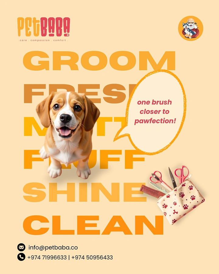 Pet Grooming creative ad: Dog breaking through bold word stack