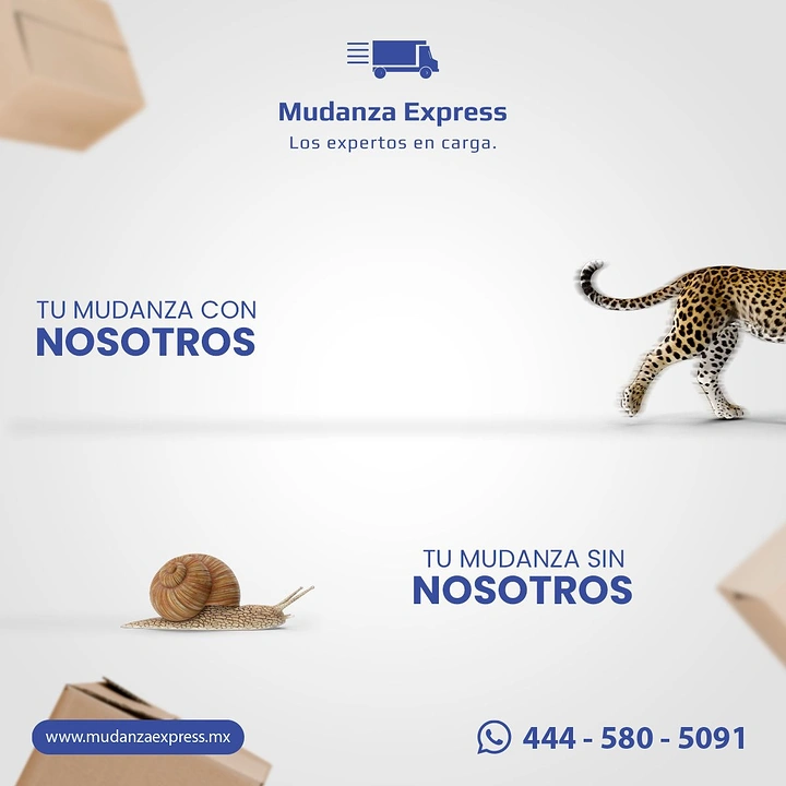 Movers & Packers creative ad: Cheetah vs snail: with us, without us