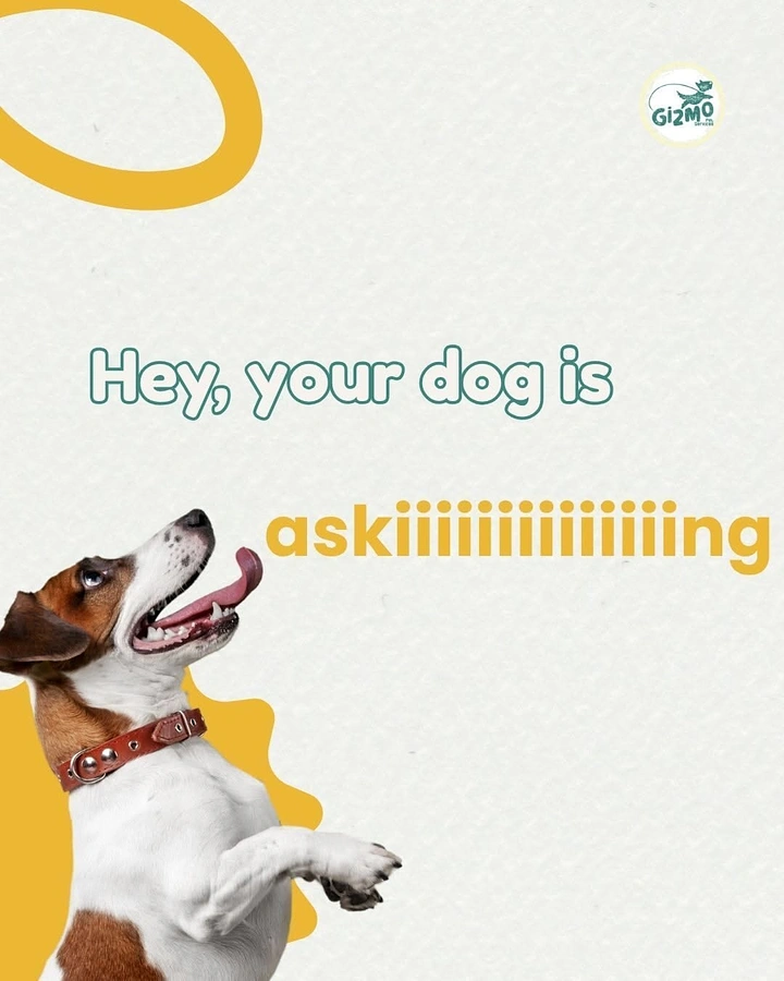 Pet Grooming creative ad: Stretched 'askiiiing' type mimics eager dog