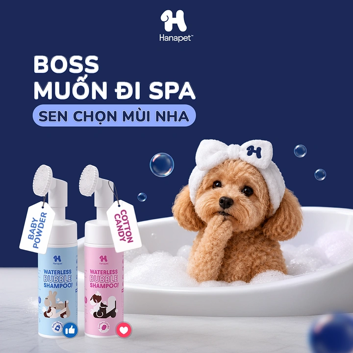 Pet Grooming creative ad: Witty 'boss goes to spa' pet-owner slang copy