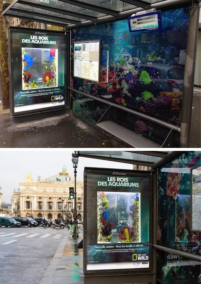 Aquarium Shops creative ad: Bus shelter turned into aquarium